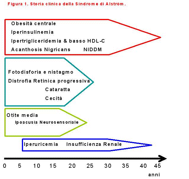 storia naturale della sindrome di alstrom