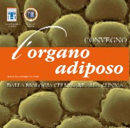 udine
